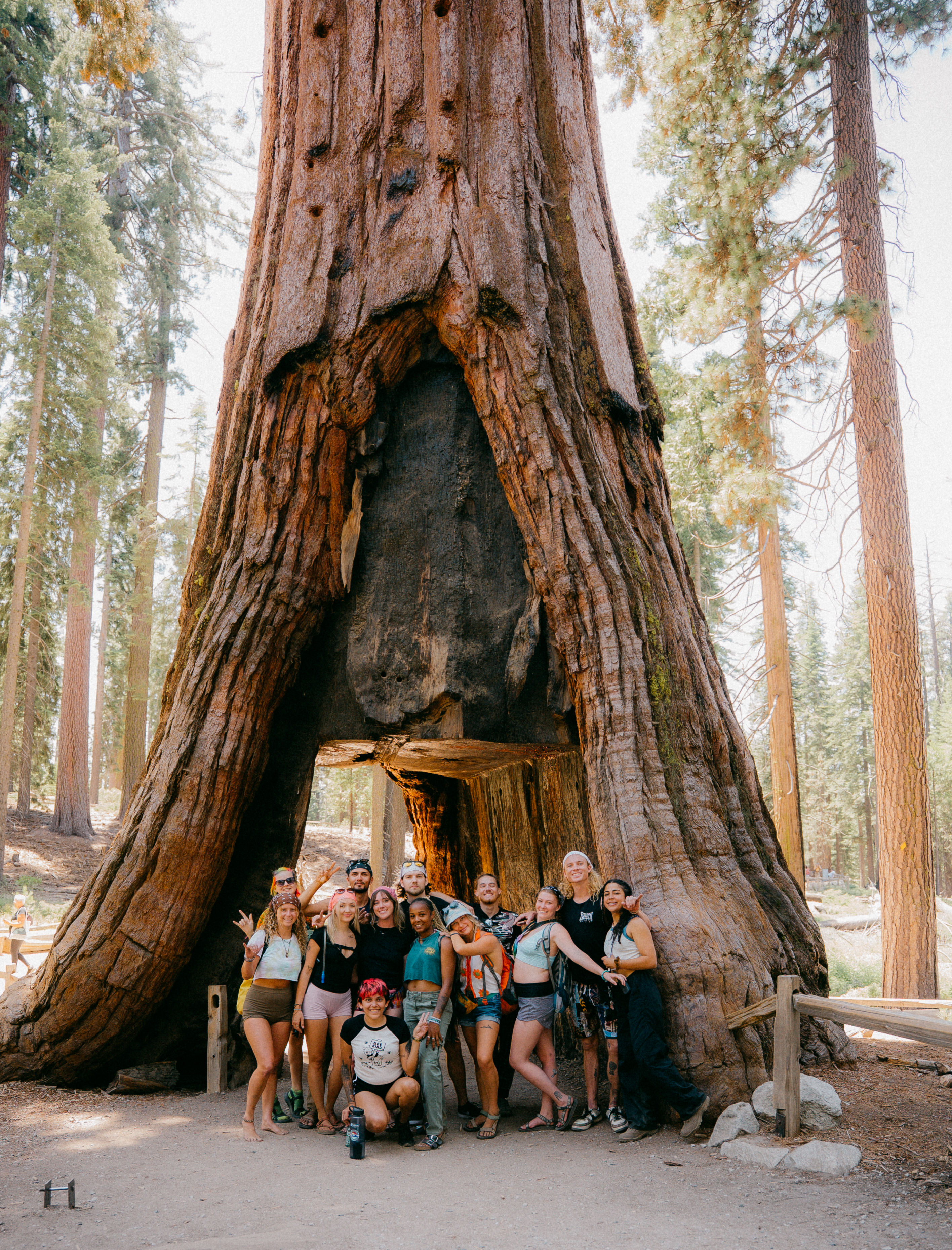 Yosemite 1 Week Trip — photo coming